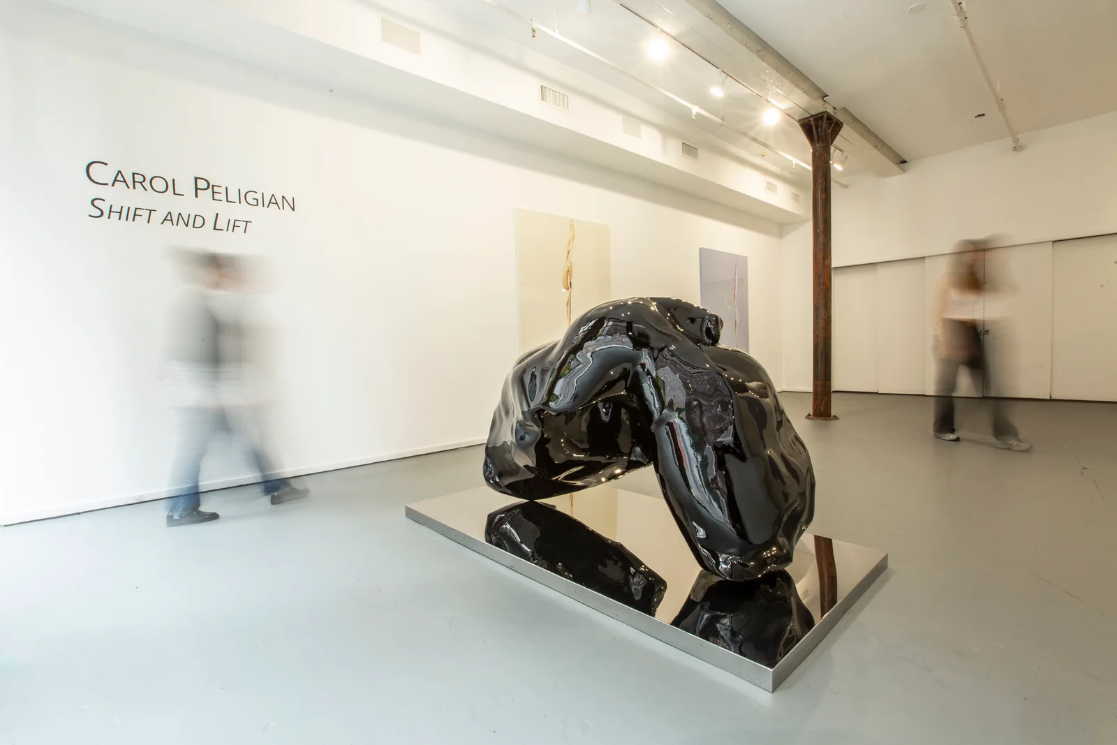 Carol Peligian installations — image from the exhibition archive