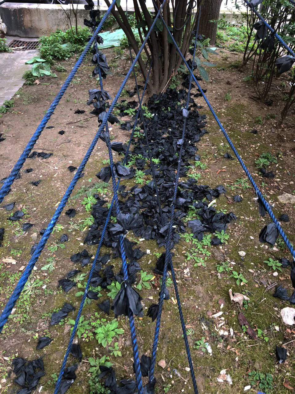 Meri Karapetyan