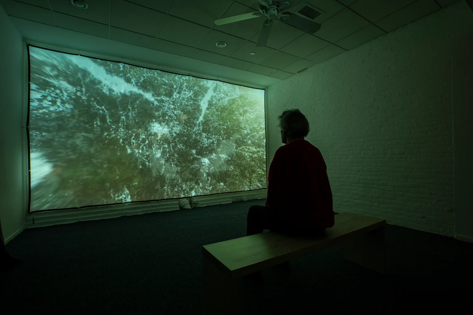 Carol Peligian installations — image from the exhibition archive