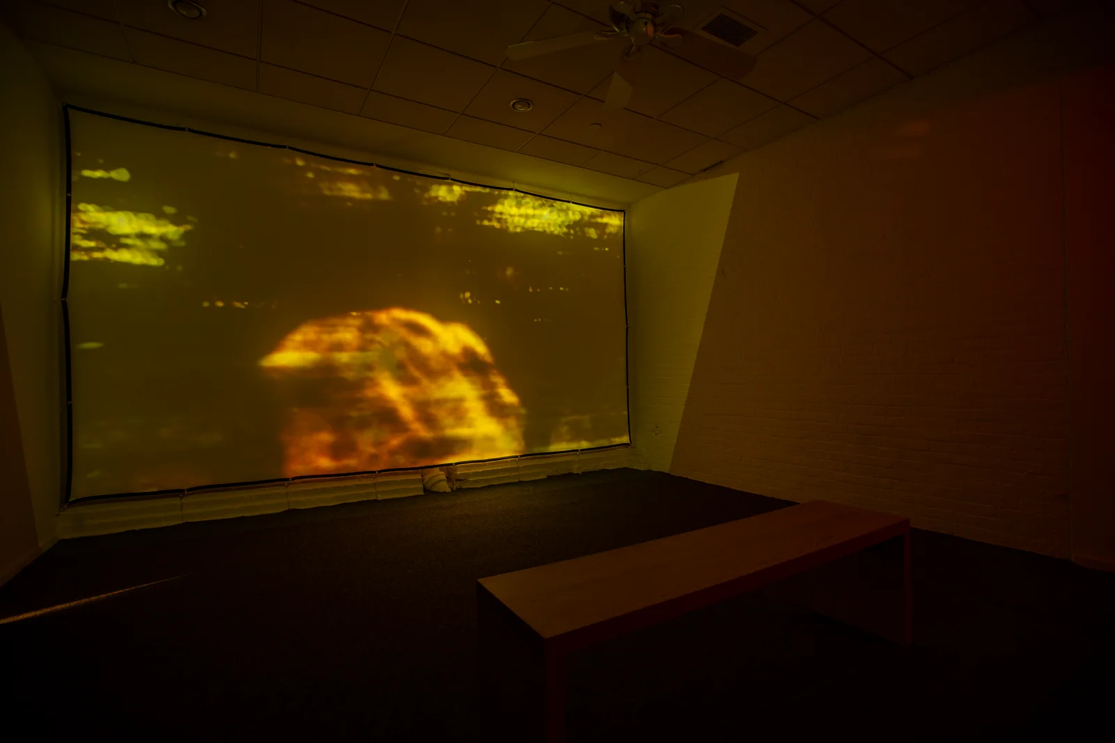 Carol Peligian installations — image from the exhibition archive