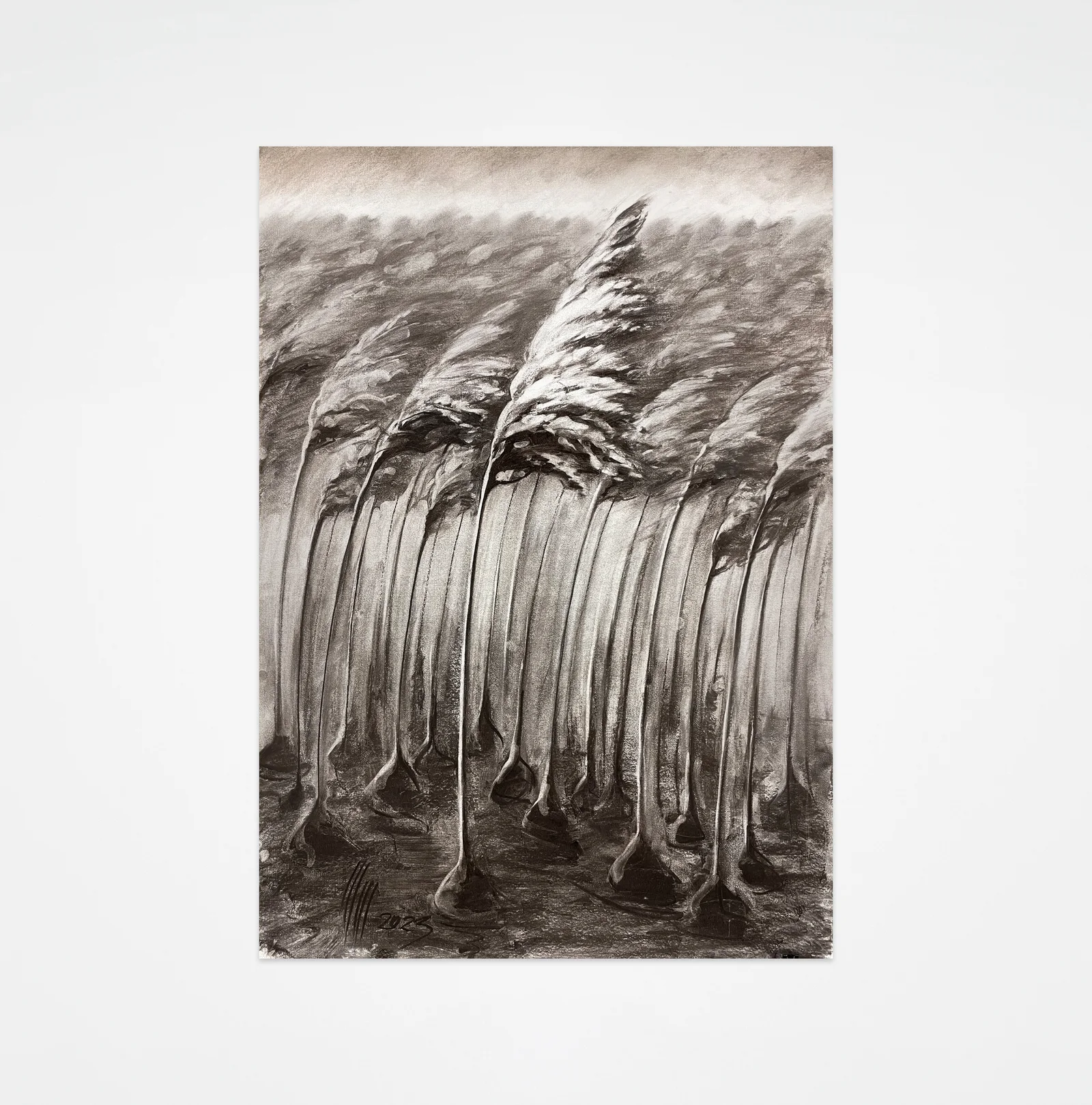 Field of Reeds