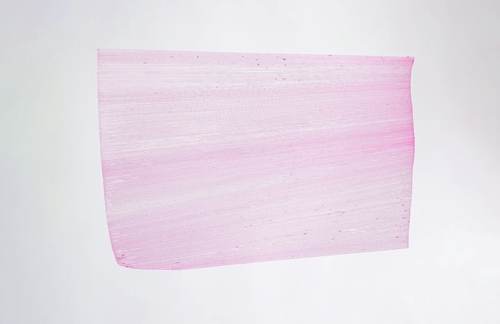 The Other Side of Pink — image from the exhibition archive