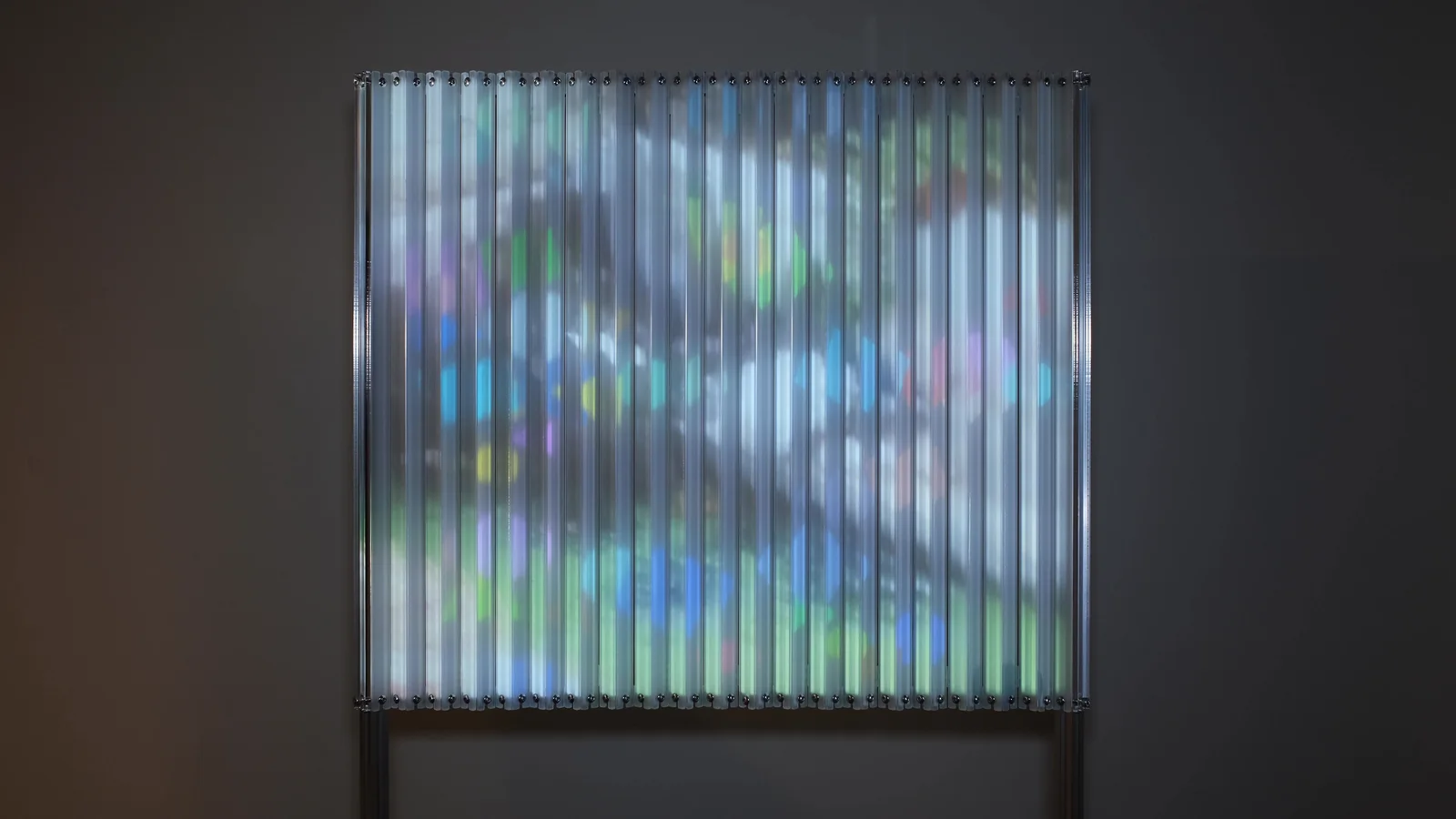 Yichen (Jack) Ji — image from the exhibition archive
