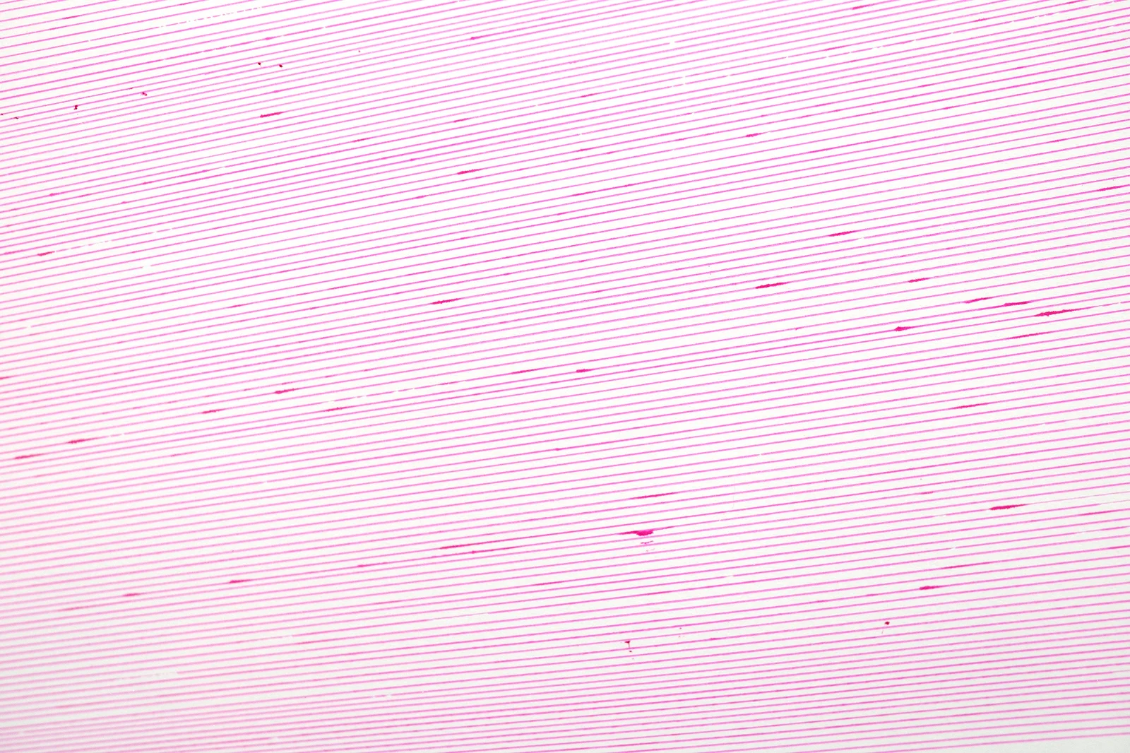 Tsolak Topchyan Universal Pink